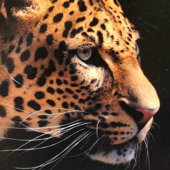 Meet your Posher, Rebecca - Picture 1 of 1